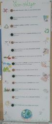 Eco código.jpg